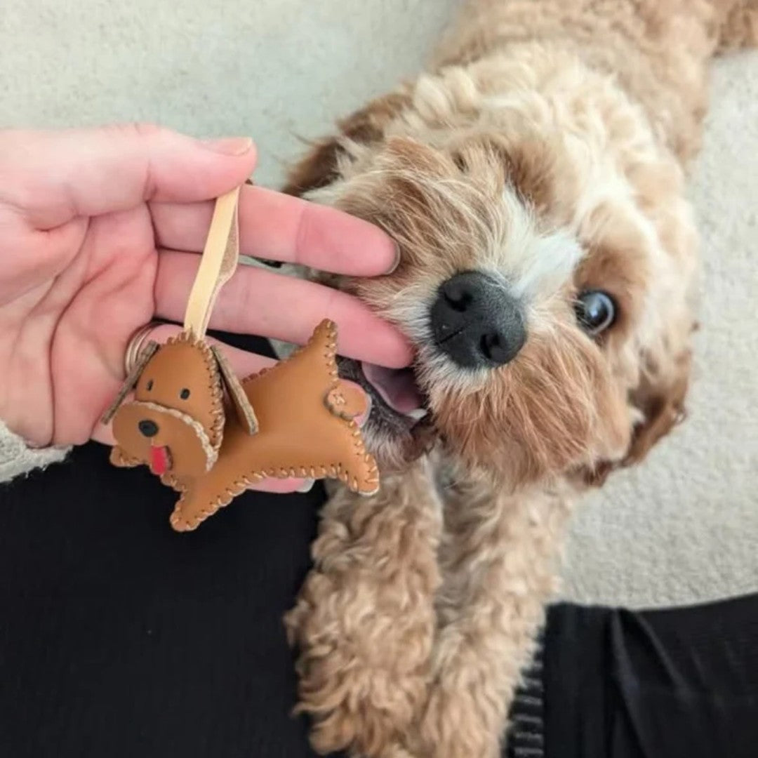 Dog looking at a leather dog-shaped keychain held by a person
